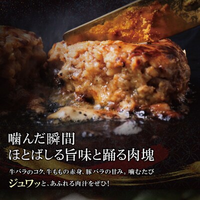 極生ハンバーグ 5個セット(150g×5) 