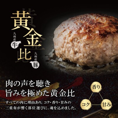 極生ハンバーグ 18個セット(150g×18)