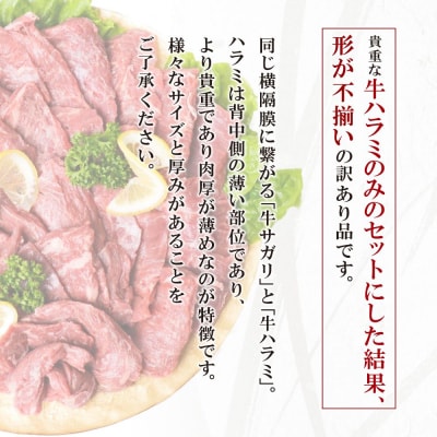 【訳あり】 牛ハラミ肉2種(旨辛ダレ、ねぎ塩) 600g