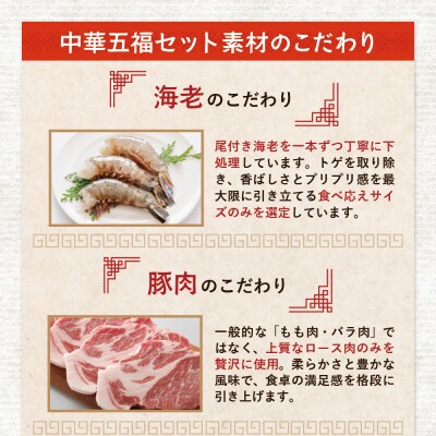 中華5点セット(5種×1袋 計5袋)