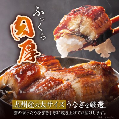 国産うなぎ蒲焼大4尾(670g以上)鰻蒲焼用タレ・山椒付