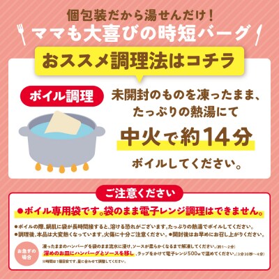 【4回定期便】Best4バーグ(デミグラスソース)20個【合挽4種・各5個】