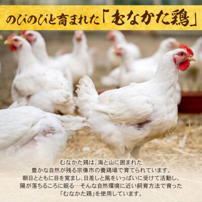 むなかた鶏使用　水炊き2人前