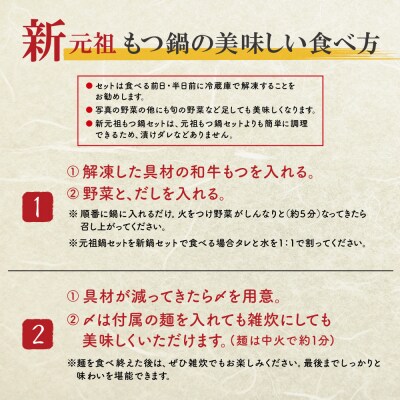 平壌屋 新元祖味噌もつ鍋セット ちゃんぽん(野菜無) 追加たれ付き