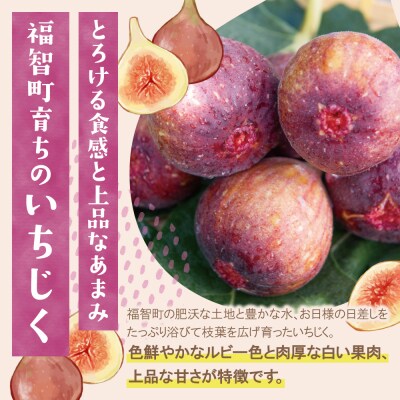 【2026年発送】★先行予約受付中★ ふくふく果実定期便(隔月・年2回)