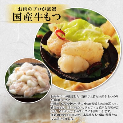 上田商店 博多もつ鍋セット(白味噌味 2人前)