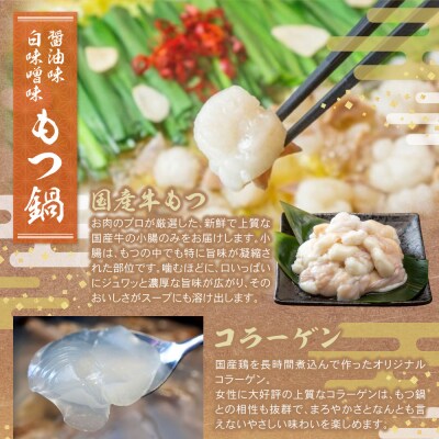 博多名物よりどり鍋セット(水炊き2～3人前・もつ鍋 醤油・白味噌各2人前)