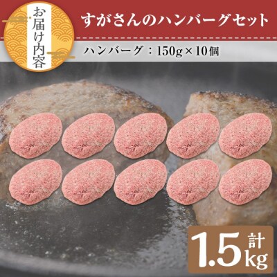 すがさんのハンバーグ(150g×10個)