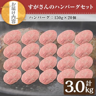 すがさんのハンバーグ(150g×20個)