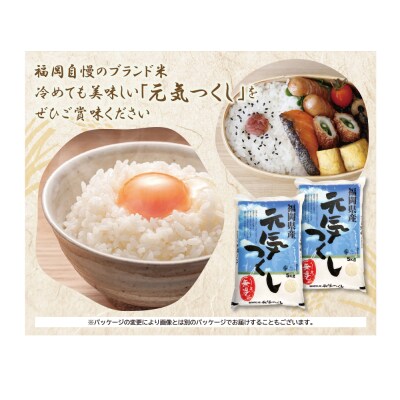 令和7年産 無洗米 元気つくし10kg