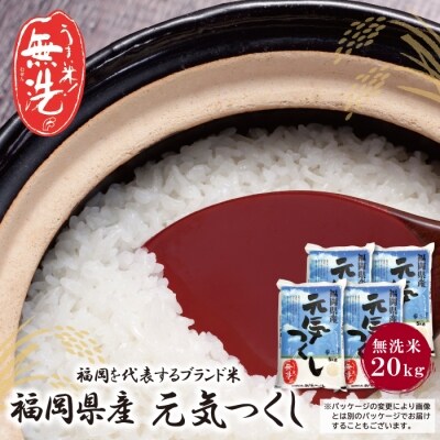 令和7年産 無洗米 元気つくし20kg