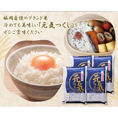 令和7年産 研ぐお米 元気つくし20kg