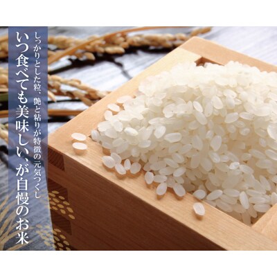 令和7年産 研ぐお米 元気つくし20kg