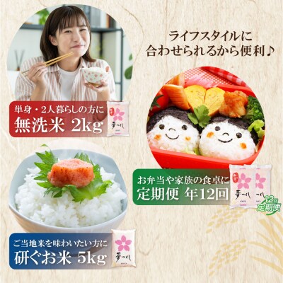 令和7年産 無洗米 夢つくし2kg