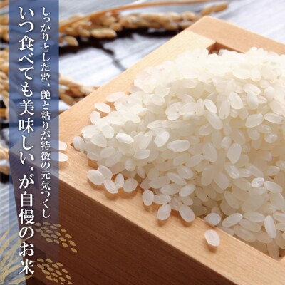 令和7年産 無洗米 元気つくし2kg