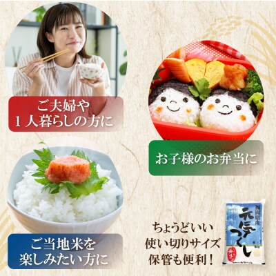 令和7年産 無洗米 元気つくし2kg