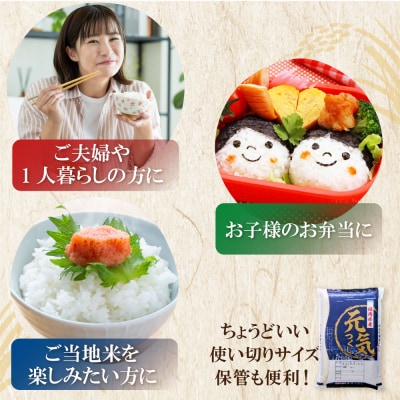 令和7年産 研ぐお米 元気つくし2kg