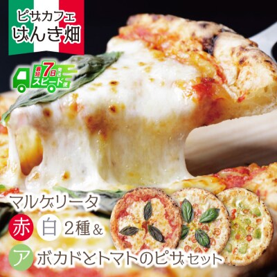 げんき畑 ピザ 3枚セット＜(赤・白)&アボカドとトマトのピザ＞