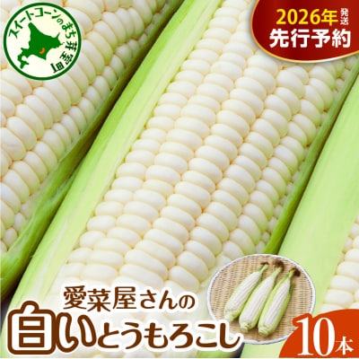 【先行受付】北海道十勝芽室町 とうもろこし 10本 ホワイト me002-005c-26
