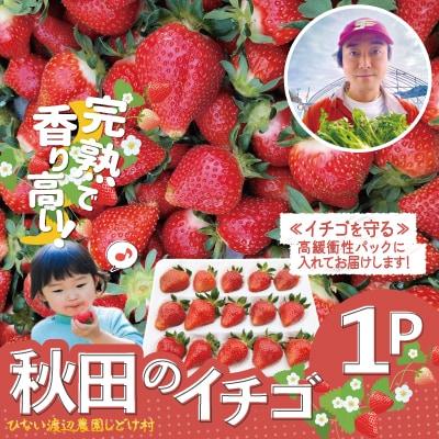 【完熟で香り高い!】秋田のイチゴ1P