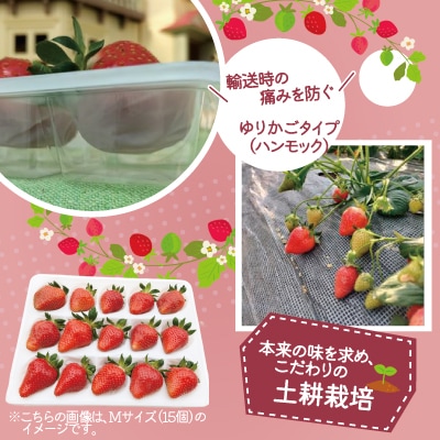 【完熟で香り高い!】秋田のイチゴ1P