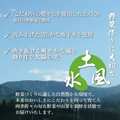 【完熟で香り高い!】秋田のイチゴ1P