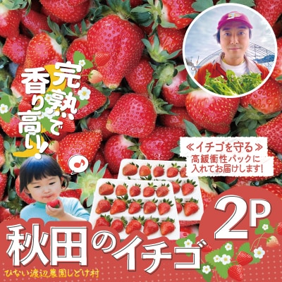 【完熟で香り高い!】秋田のイチゴ2P