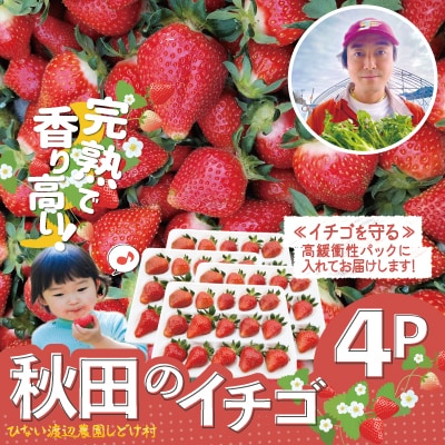 【完熟で香り高い!】秋田のイチゴ4P
