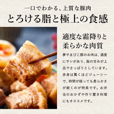 「夢やまびこ豚」特別!お腹まんぷくセット 小間切れ 2.0kg+挽肉 2.0kg | 豚肉 肉 お肉