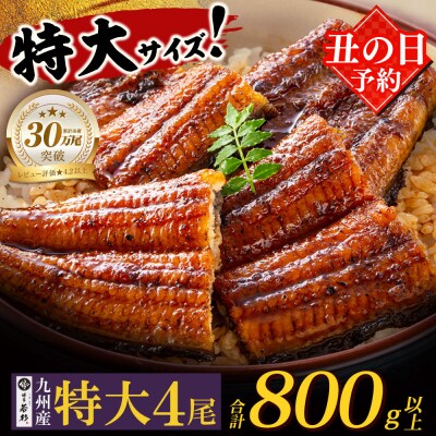 【丑の日7/26までにお届け】国産うなぎ蒲焼特大4尾(計800g以上)タレ・山椒付  丑の日予約