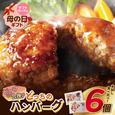 【母の日】どっちのハンバーグ!?デミグラスソース6個セット