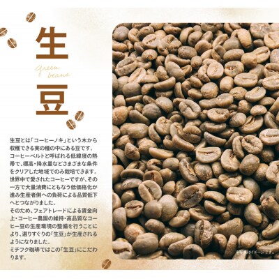 ミチフク珈琲 アイス珈琲ブレンド ドリップバッグ20袋