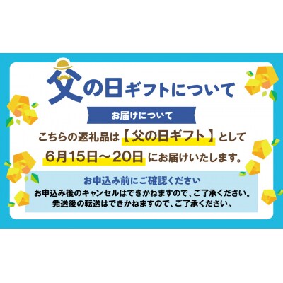 【父の日】福智山麓キセキの珈琲 ギフトボックス(大)