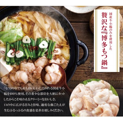 やまや 博多もつ鍋食べ比べセット(醤油・味噌)各3～4人前