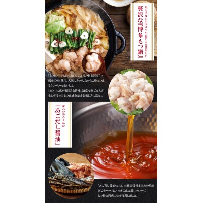 【訳あり】やまや 博多もつ鍋(あごだし醤油味) 4人前