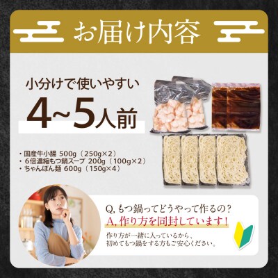 博多特選もつ鍋(4～5人前)(2パック小分け)(醤油味)