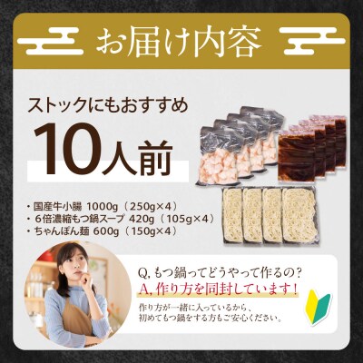 博多特選もつ鍋(10人前)(4パック小分け)(醤油味)