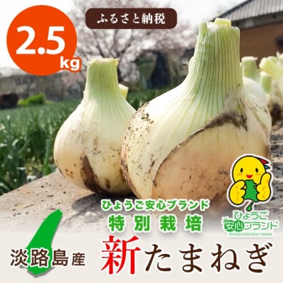 【あさひサンファーム】【2.5kg】兵庫県認証★特別栽培★淡路島新たまねぎ(配送3月上旬～)