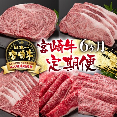 内閣総理大臣賞4連覇!宮崎牛6ヶ月定期便 A4～A5等級ステーキ・焼肉・すき焼きスライス[2419]