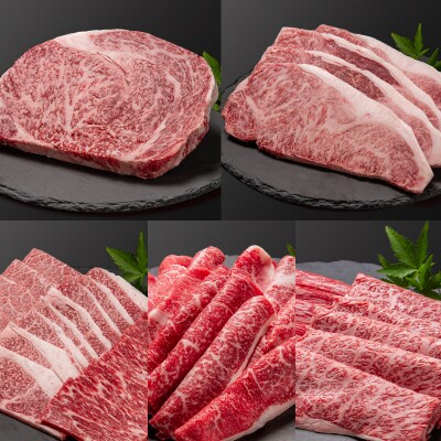 内閣総理大臣賞4連覇!宮崎牛6ヶ月定期便 A4～A5等級ステーキ・焼肉・すき焼きスライス[2419]