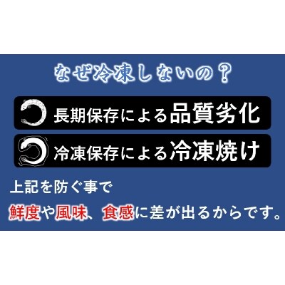 炭火焼一筋「うなぎの入船」かば焼3尾(熟成たれ付)国産うなぎ[1236] 