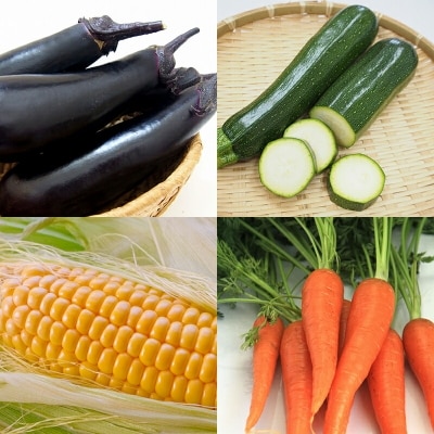 【先行受付】農家直送新鮮野菜と柚子こしょう詰め合わせセット[2607]