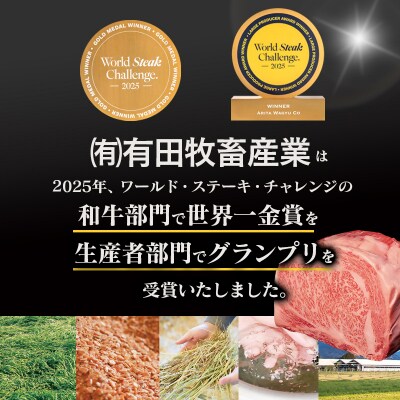 【世界グランプリ受賞】【宮崎有田牧場】黒毛和牛 特上焼肉セット500g　宮崎EMO牛肉[2822]