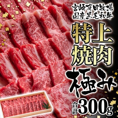 【宮崎有田牧場】黒毛和牛 特上焼肉セット300g　宮崎EMO　牛肉[2817]