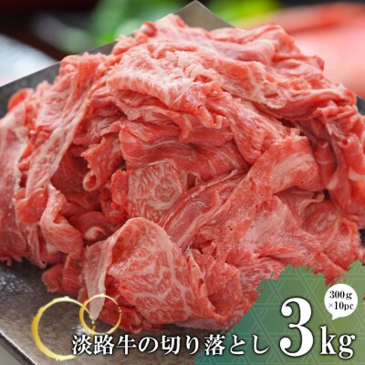 淡路牛の切り落とし3.0kg(300g×10パック)　at04894