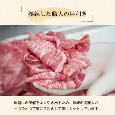 淡路牛の切り落とし3.0kg(300g×10パック)　at04894