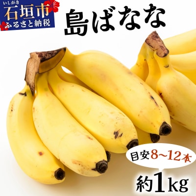 【2026年5〜10月順次発送】石垣島産 プレミアム島ばなな1房丸ごと約1kg(約8-12本)