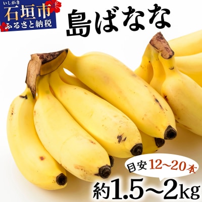 【2026年5〜10月順次発送】石垣島産 プレミアム島ばなな1房丸ごと約1.5-2kg(約12-20