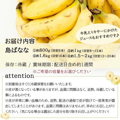 【2026年5〜10月順次発送】石垣島産 プレミアム島ばなな1房丸ごと約1.5-2kg(約12-20