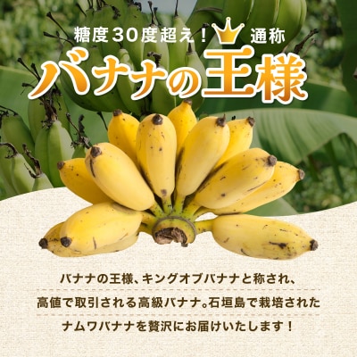 ≪2026年4～10月順次発送≫ 石垣島産 ナムワバナナ 約1kg(8-12本)